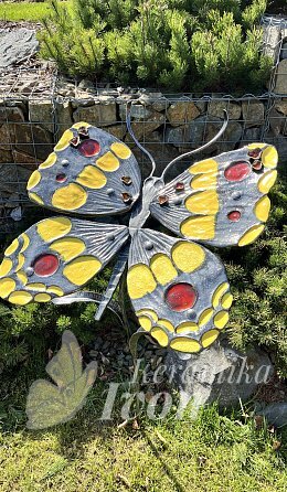 Motýl s dary slunce