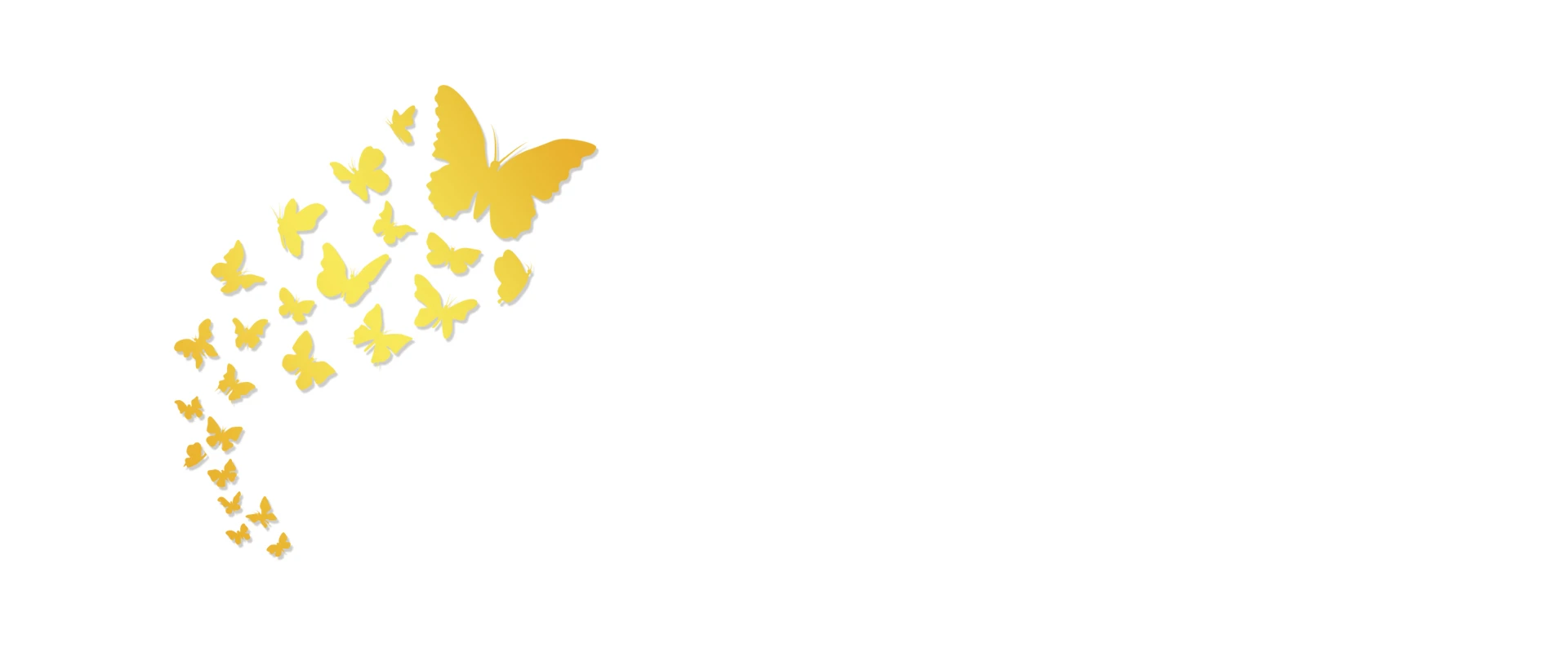 Hlavní banner